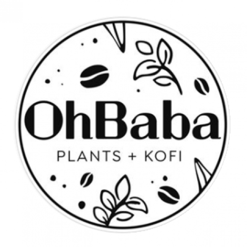 logo OhBaba Irri Sarri